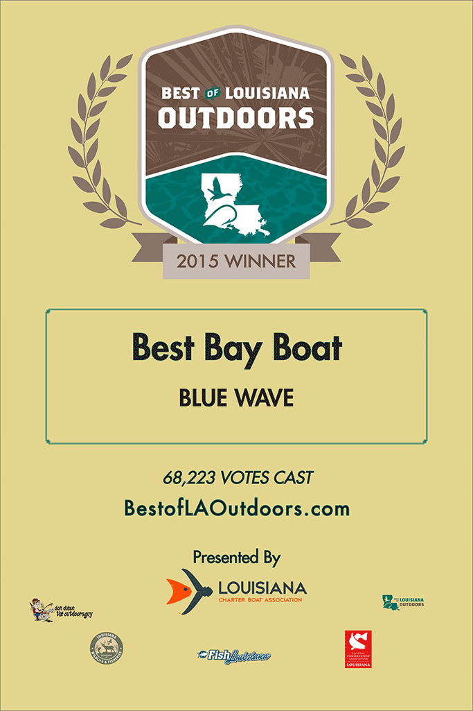 2015Best-Bay-Boat_Blue-Wave